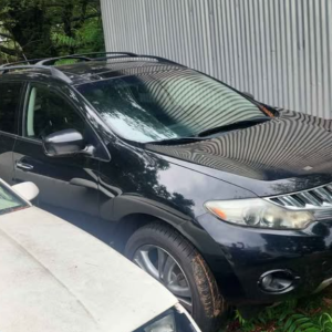 2010 Nissan Murano